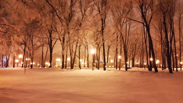 Park zimowy w Charkowie - Styczeń 2017 — Zdjęcie stockowe