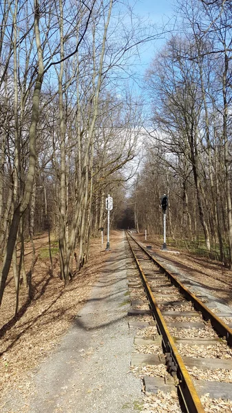 Харьков, Украина - железная дорога с семафорами в лесопарке — стоковое фото