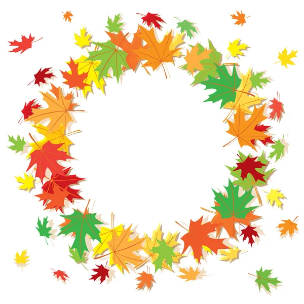 Colorful maple leaves on white background - vector frame — Stock Vector