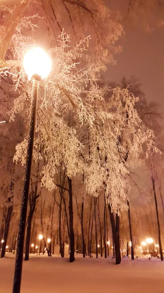 Straßenlaterne im Park in Charkiw - Ukraine Januar 2017 — Stockfoto