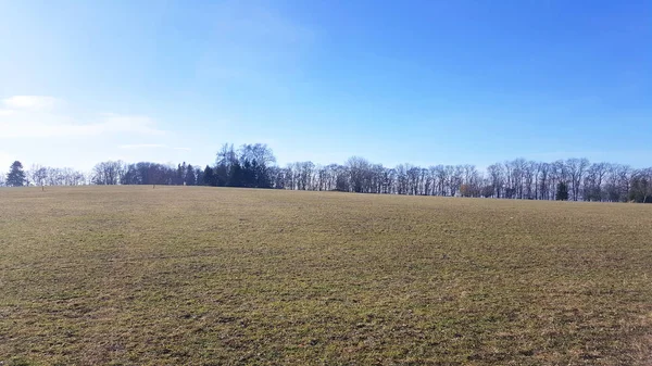 Eng nær skog og blå himmel i Tyskland – stockfoto