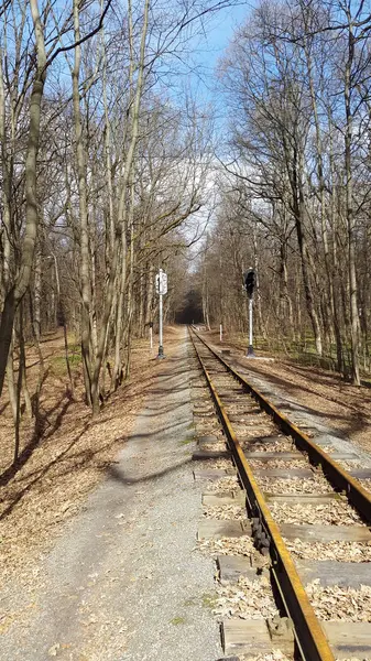 Ferrocarril con semáforos en el parque forestal - Kharkiv, Ucrania — Foto de Stock