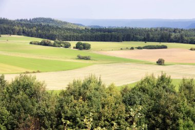 Baden-Wurttemberg ağaçları ile yaz manzara parlak yeşil alanlar