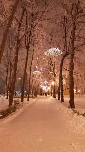 På park i Kharkiv med dekorationer - Januari 2017 Ukraina — Stockfoto