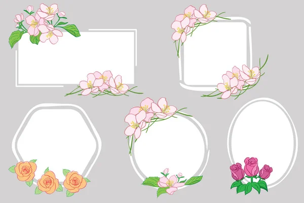 带有苹果树花和玫瑰的白色背景 植物载体框架 — 图库矢量图片