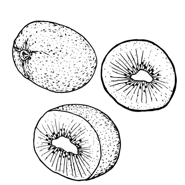 Kiwi entier, dans le cadre de trois options, croquis en ligne noir i — Image vectorielle