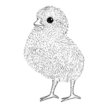 Siyah çizgileri olan küçük şirin bir tavuk çizimi.