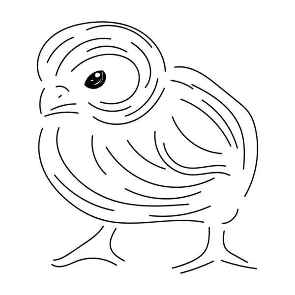 Boceto de pollo con líneas de contorno negro, aislado en respaldo blanco — Vector de stock
