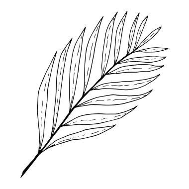 Chiki palm leaf in graphic style black outline isolated on white