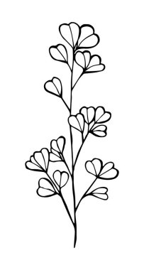 Eucalyptus contour drawing of black color isolated on a white ba