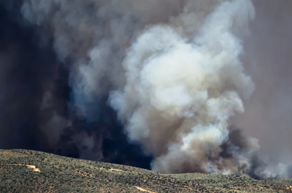 Плотный белый дым, поднимающийся от бушующего лесного пожара — стоковое фото