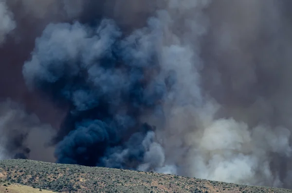 Из бушующего лесного пожара поднимается густой черный дым — стоковое фото