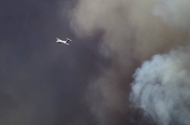 Uçak uçan önde azgın orman yangını yükselen yoğun beyaz duman beyaz 