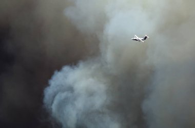 Uçak uçan önde azgın orman yangını yükselen yoğun beyaz duman beyaz 