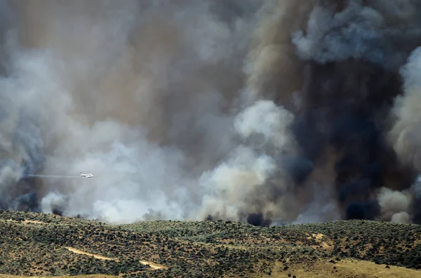 Aviones volando a través del denso humo blanco que se eleva del furioso incendio forestal Imagen de stock