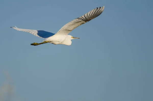 Grano nevoso che vola in cielo blu — Foto Stock