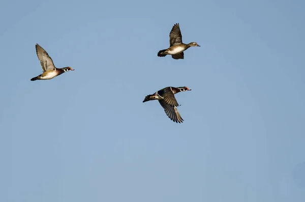 湛蓝的天空中飞行的木头鸭子 — 图库照片