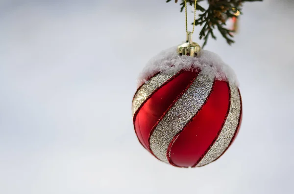 Ornamento di Natale a strisce rosse congelate Decorare un albero all'aperto nevoso — Foto Stock