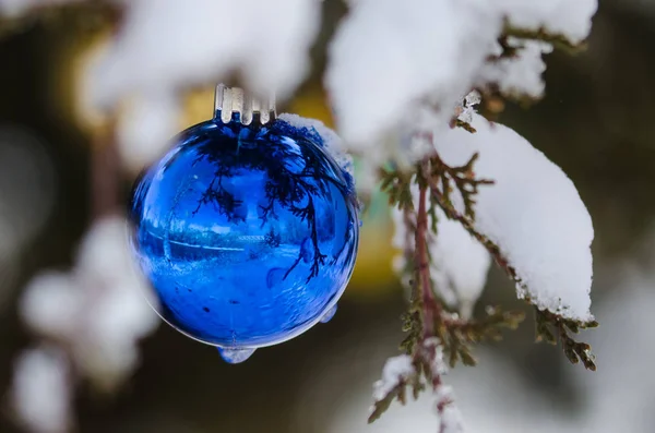 Παγωμένο μπλε χριστουγεννιάτικο στολίδι διακοσμώντας ένα χιονισμένο δέντρο εξωτερική — Φωτογραφία Αρχείου