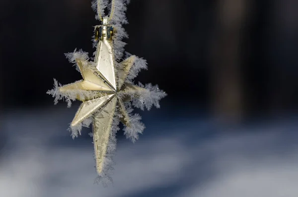 Golden Frost Cubierto Estrella de Navidad Decoración de un árbol al aire libre — Foto de Stock