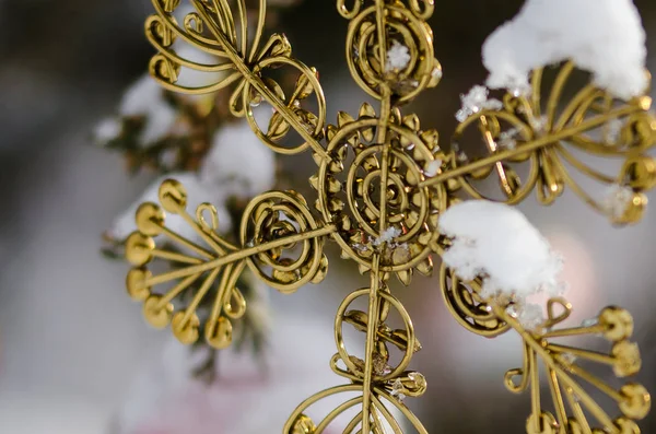 Χρυσή χιονοσκέπαστο χριστουγεννιάτικο στολίδι αστέρι διακοσμώντας μια εξωτερική δέντρο — Φωτογραφία Αρχείου