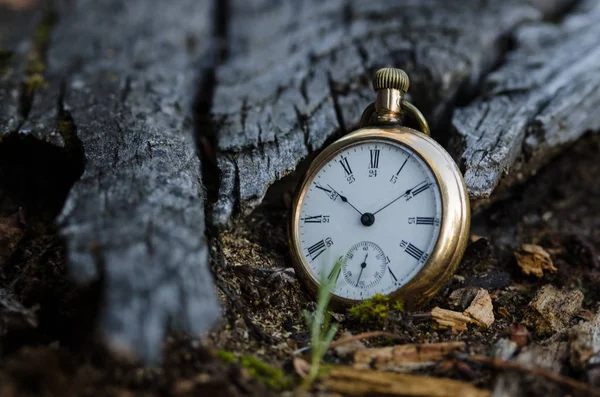 Pasaje implacable e imparable del tiempo — Foto de Stock