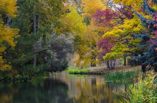 Season of Change Reflecting in the Silent Autumn Pond — Stock Photo, Image