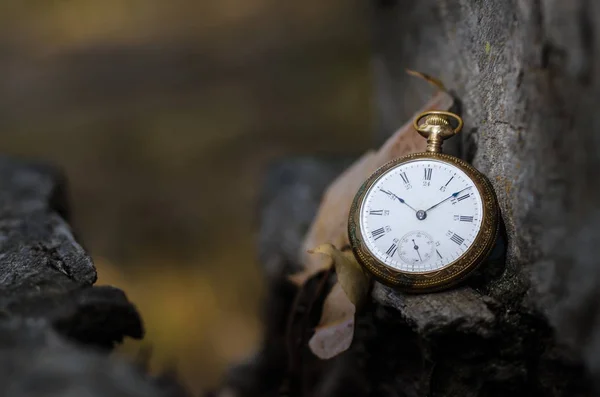 Pasaje implacable e imparable del tiempo — Foto de Stock