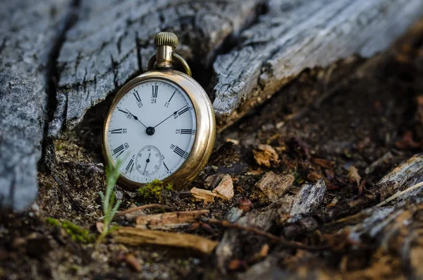 Relentless and Unstoppable Passage of Time — Stock Photo, Image