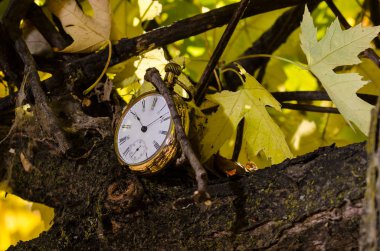 Tüm hakkında geçit zamanın olduğunu
