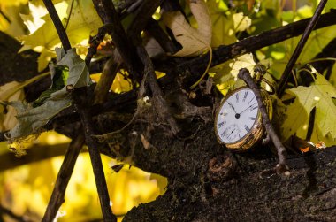 Tüm hakkında geçit zamanın olduğunu