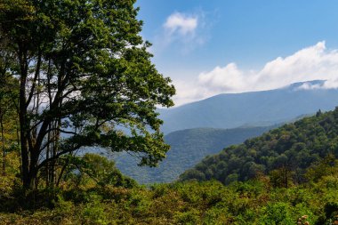 Appalachian Dağ Manzarası Blue Ridge Parkway boyunca