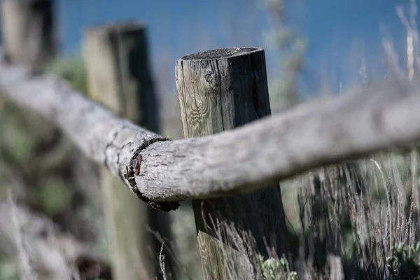 Verweerde Houten Hekken Staande Het Grasveld — Stockfoto