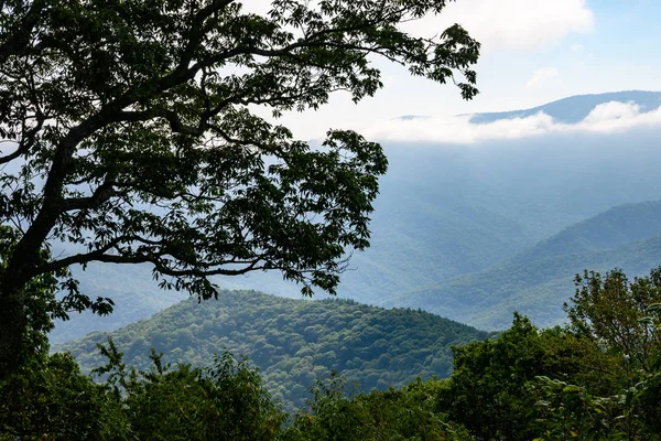 Appalachian Mountain View Lungo Blue Ridge Parkway — Foto Stock