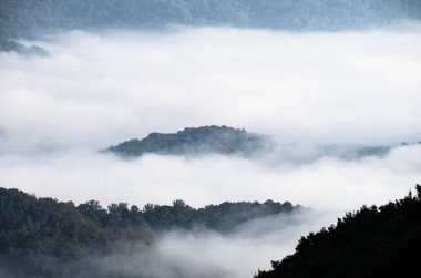 Dağ vadilerinde Sisli Sabah