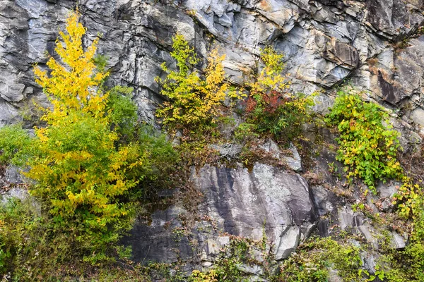 Осень Аппалачских Горах Смотрящих Вдоль Блю Ридж Паркуэй — стоковое фото