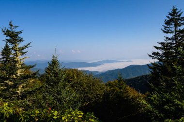 Dağ vadilerinde Sisli Sabah