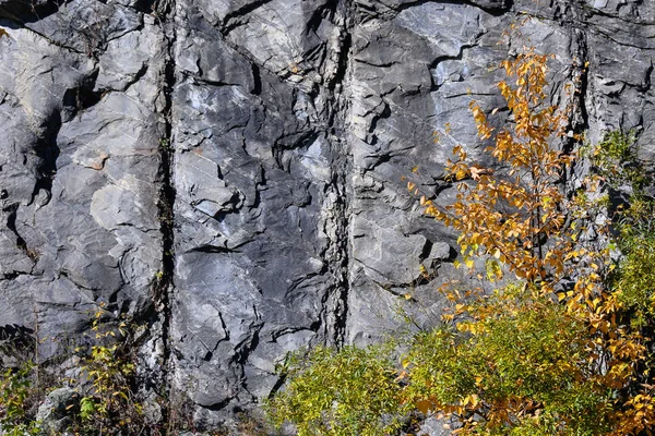 Nature Abstract Vzor Vytvořený Prasklinami Puklinami Pevné Skalní Stěně Podzimním — Stock fotografie