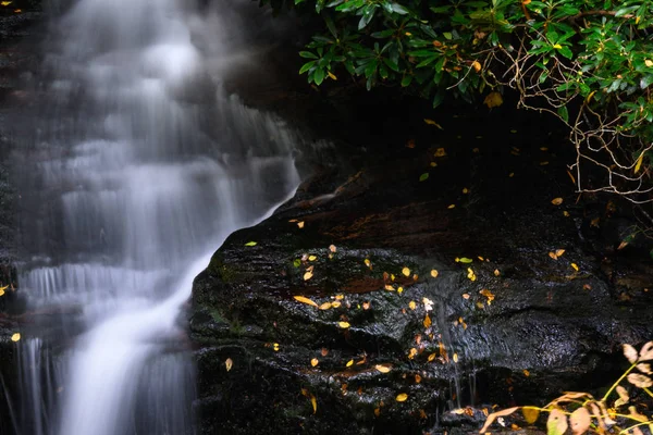 Cascada Refrescante Escondida Profundo Del Bosque Otoño — Foto de Stock