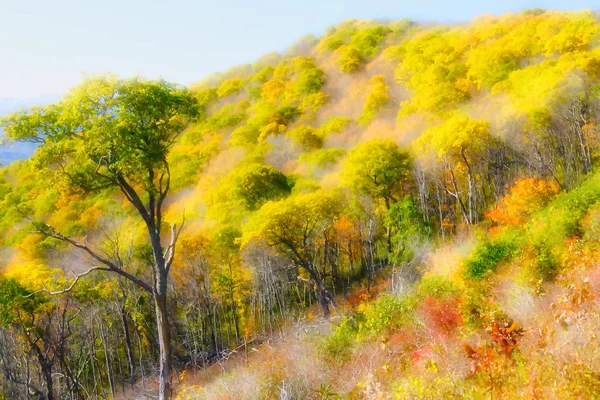 Otoño Suave Las Montañas Apalaches Visto Largo Del Blue Ridge —  Fotos de Stock