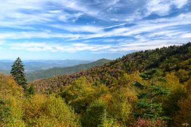 Appalachian Dağlarında sonbahar Blue Ridge Parkway boyunca görüldü.