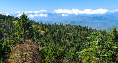 Appalachian Dağlarında sonbahar Blue Ridge Parkway boyunca görüldü.