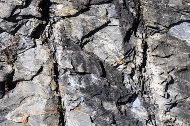 Doğa Özeti: Kaya Duvarındaki Çatlaklar ve Yarıklar Tarafından Yaratılan Desen