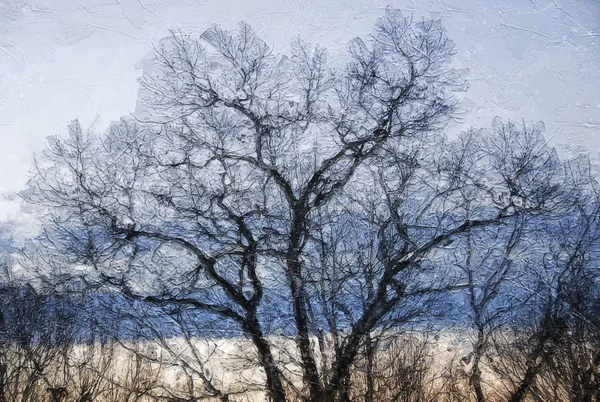 Ιμπρεσιονιστικό Στυλ Καλλιτεχνικό Έργο Των Σιλουέττων Άκρων Ενός Χειμερινού Δέντρου — Φωτογραφία Αρχείου
