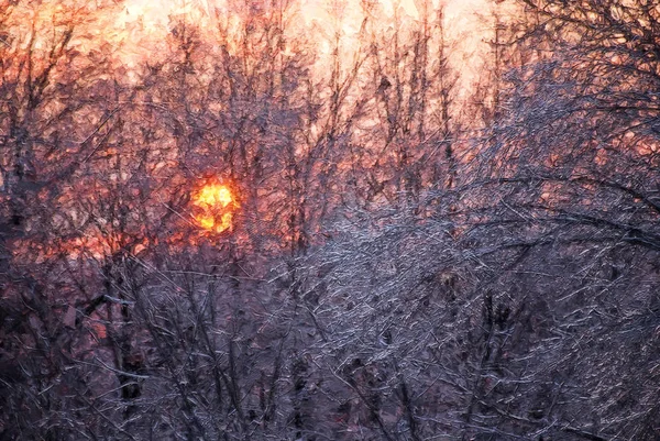 Imponerande Stil Konstverk Tidig Morgon Solen Stiger Efter Isstorm — Stockfoto
