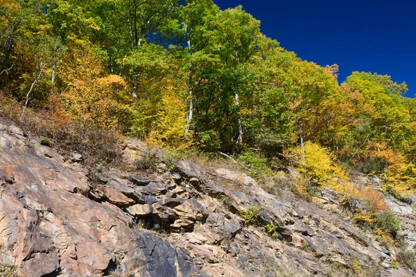 Podzim Appalačských Horách Podél Blue Ridge Parkway — Stock fotografie