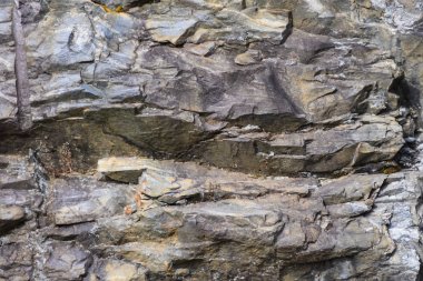 Doğa Özeti: Kaya Duvarındaki Çatlaklar ve Yarıklar Tarafından Yaratılan Desen