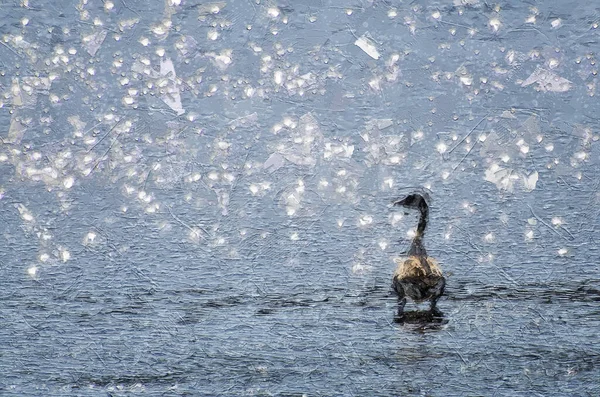阳光闪烁着的加拿大鹅的印象派风格艺术创作 — 图库照片