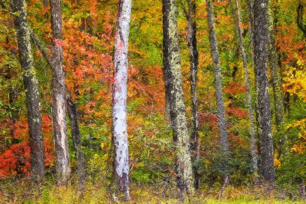Impresionistický Styl Umělecké Dílo Podzimních Barev Ukryté Hluboko Zeleném Lese — Stock fotografie