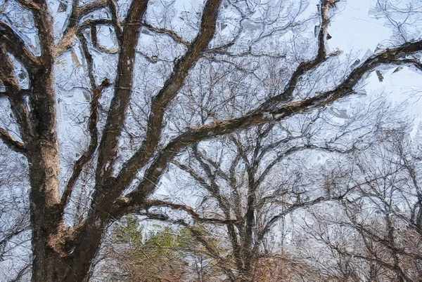 Impresjonistyczny Styl Sztuka Sylwetki Kończyn Drzewa Zimowego — Zdjęcie stockowe